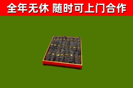 红花岗回收海参